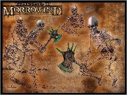 The Elder Scrolls III: Morrowind, Szkielety